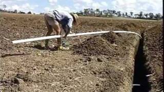 Australia Sugar cane Irrigating [upl. by Lara]