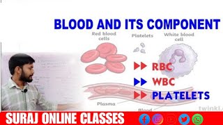 Blood and Its Component ll Function of Blood ll RBC ll WBC ll Blood Platelets ll What is Blood ll [upl. by Millian713]