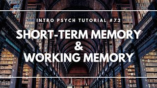 Short Term Memory Free Test  Examples [upl. by Geiss]