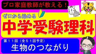 【中学受験理科】食物連鎖！地球規模の壮大なストーリーを20分で説明！【ゼロから始める中学受験理科 第１１回】 [upl. by Anoik]