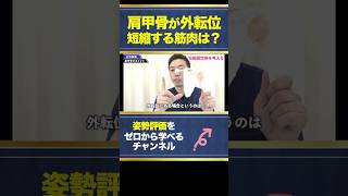 【肩甲骨クイズ】肩甲骨が外転位のとき短縮する筋肉は？？ アナトミートレイン 姿勢評価 筋膜 [upl. by Araeit]