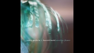 Harold Budd amp Robin Guthrie  Another Flower 2020 Full Album HQ [upl. by Oulman]