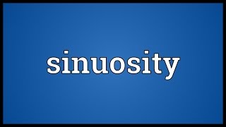 Sinuosity Meaning [upl. by Yesnyl]