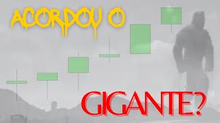 ACORDOU O GIGANTE ibovespa [upl. by Lebaron]