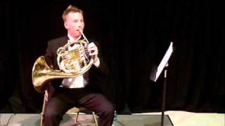 David Cooper French horn Youtube Symphony 2011 [upl. by Dlarrej]