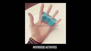 Hand Exercise interossei muscles palmar [upl. by Zerat52]