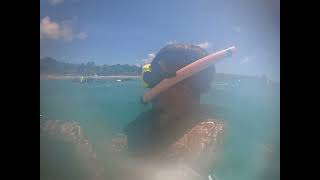 Snorkeling at St Thomas US Virgin Islands [upl. by Cleavland]