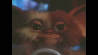 Gremlins 1 but only gizmo in the screen [upl. by Kcuhc]