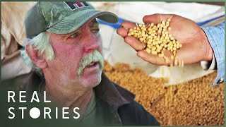 The Farmer Who Took On Monsanto David Vs Goliath Documentary  Real Stories [upl. by Gwendolyn124]