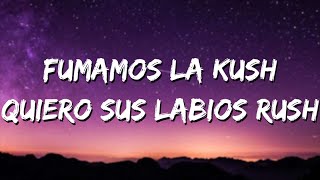 Fumamos la kush  duki [upl. by Edan]