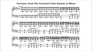 短調で動物の謝肉祭の「亀」Tortoises from The Carnival of the Animal in Minor [upl. by Archibald]