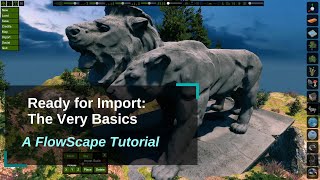 Basic Import  FlowScape Tutorial [upl. by Haskell580]