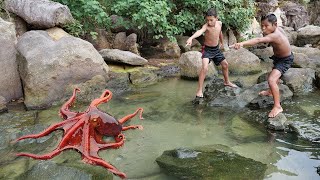 Wilderness Food  Found Octopus at the Beach [upl. by Maxie860]