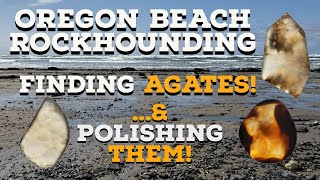 Oregon Beach Rockhounding Finding Agates and Polishing thefinders [upl. by Burt]