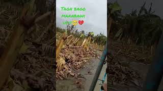 Barangay Mabini Burdeos Quezon after super typhoon Karding🥺💔 [upl. by Aleen216]