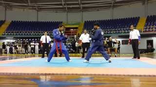 Campeonato Nacional JiuJitsu Tradicional 2013 Final [upl. by Namolos169]