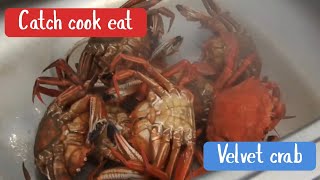 Catch cook amp eat velvet crab 🦀🦀 kintakintyea [upl. by Llecram]