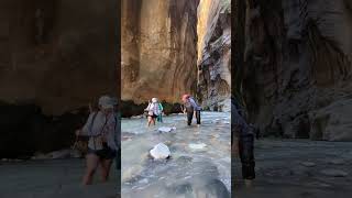 The Ultimate Zion Narrows Hike Experience zionnationalpark hikingadventure water hiking [upl. by Joub]