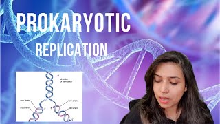 Prokaryotic Replication  leading amp lagging strands Okazaki fragments CSIR  PART 1 of the series [upl. by Kathye]