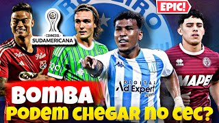 ✅🔥DESTAQUES DA SULA PODEM REFORÇAR O CRUZEIRO EM 2025 BAITA OPÇOES E MAIS [upl. by Griffith]