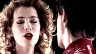 Indochine ft Melissa Auf Der Maur  Le Grand Secret lyrics [upl. by Eleahcim]