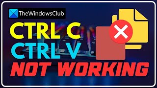 CtrlC and CtrlV not working in Windows 1110 [upl. by Kciredohr]