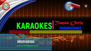 VIRGEN QUERIDA KARAOKE [upl. by Niatsirk]