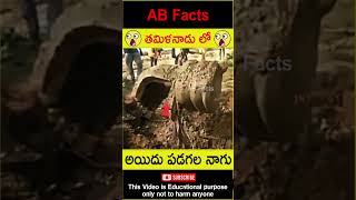 🐍తమిళనాడు లో🐍 Siva lingam found in tamil nadu farms telugufacts shorts youtubeshorts abfacts [upl. by Waneta891]