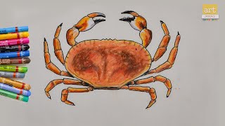 Crab Drawing II How to Draw Crab II Art JanaG [upl. by Haroun433]