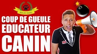 FORMATION ÉDUCATEUR CANIN  La réalité des FORMATIONS [upl. by Cattan]