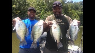 Crappie Fishing With A PRO [upl. by Phia]