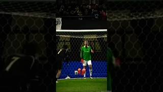 Van Der Sar vs Yashinfootball [upl. by Nnylirehs]