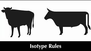 Isotype Rules 242 [upl. by Lavena631]