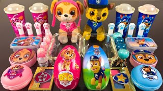 PAW PATROL SkyeampChase Mixing MakeupEyeshadowGlitterClay Into Slime🎀Oddly Satisfying Slime ASMR [upl. by Darell18]