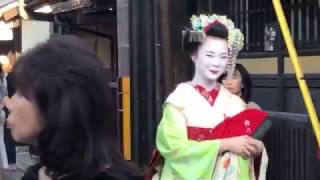 Ep 26 Geishaspotting In Search Of Geisha in the Gion District of Kyoto Japan [upl. by Suiram479]