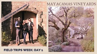 Field Trips Week DAY 1 MAYACAMAS VINEYARDS amp Meet the NEW SOMMS [upl. by Relyat]