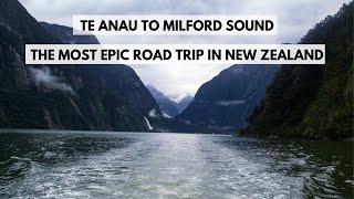 Hiking Lodge to Lodge on the Milford Track in New Zealand [upl. by Asenad146]