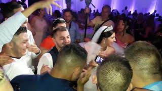 12 Orkestar Srdjan Demirovic 10 08 2018 Svadba Maleis amp Dilan [upl. by Roban]