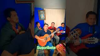 Escucha vida miapasillo requinto guitarra musicaenvivo musicaecuatoriana musicanacional [upl. by Rebmaed]