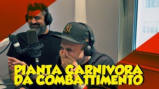 I TAMARRI  PIANTA CARNIVORA DA COMBATTIMENTO [upl. by Bergin]