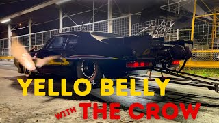 BIG CHIEF TESTING THE CROW AT YELLO BELLY THE MOST GANGSTER RACETRACK IN THE WORLD [upl. by Helbonna]