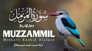 Surat AlMuzzammil  Mishary Rashid Alafasy  مشاري بن راشد العفاسیسورة المزمل  slowed and reverb [upl. by Cathryn638]