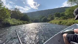 Fly Fishing the Catskill Mountains [upl. by Ertnom]