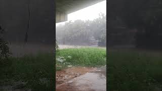 🌧️ varsham aching chali pettings  shorts trending viralvideos rain shortvideos [upl. by Vadnee]