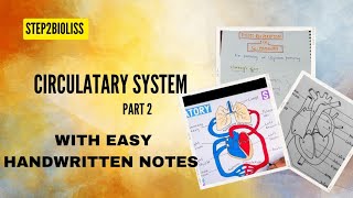 CIRCULATARY system l Heart l with easy handwritten notes biology [upl. by Yecnay828]