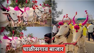 Anower shet Challisgaon bohil bazar live चाळीसगावबैलबाजार [upl. by Brosine]