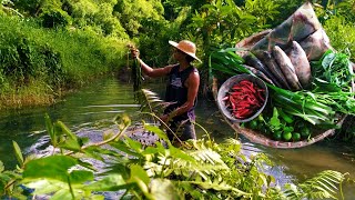 CATCHING TILAPIA AND LOOKING FOR EDIBLES  PROMDI BOY  LIFE IN THE PROVINCE [upl. by Ahsilek]