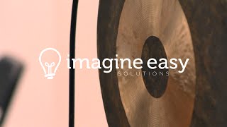 Company Values at Imagine Easy Solutions [upl. by Naved397]