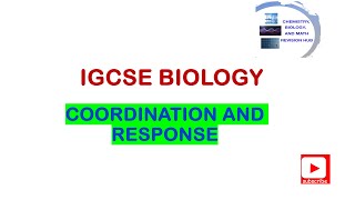 Mastering Nervous System Coordination IGCSE GCSE amp O Level Biology Guide [upl. by Auqinahc]