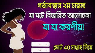 গর্ভাবস্থায় দ্বিতীয় সপ্তাহে যা যা ঘটে বিস্তারিত আলোচনা এবং যা যা করণীয়। second week of pregnancy [upl. by Gregor683]